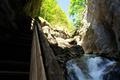 Wir lassen das Sonnenlicht hinter uns und tauchen immer tiefer in die Klamm ein ...