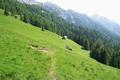 Zun�chst gehe ich an der Peterhoferalm vorbei und statte dem B�renkopf einen Kurzbesuch ab.