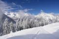 Tief grbt sich unsere Spur in den Pulverschnee.