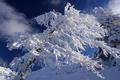 Impressionen eines frostigen Wintertages.