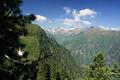 Blick Richtung Westen zur Hochwildstelle und ihren Gipfelnachbarn.