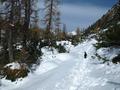 Fast eben zieht sich das Gelnde nordwrts. Obwohl nicht unbedingt erforderlich, habe ich hier die Schneeschuhe angelegt. Besser an den Fen als am Rucksack mitschleppen.