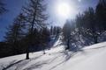 Sonne. Ostwrts haltend - ber einen Waldrcken ...