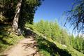 ... auf breitem Pfade bergwrts ...