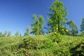 Grn und Blau, spter im Felsen das Grau - die heute dominierenden Farben.