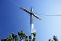 Das Gipfelkreuz am Petergupf in 1.646 Meter Hhe ist erreicht.