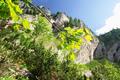 Immer wieder halte ich Ausschau Richtung Osten zum Geierkogel, in dessen Umfeld sich ein unmarkiertes Steiglein ber den Sdostrcken auf das Geck ziehen soll.