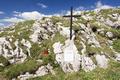 ... Gedenkkreuz zugunsten eines im Alter von 14 Jahren sehr jung verstorbenen Bergsteigers.