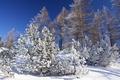 Auf den Schattseiten von einer dicken Raufreifschicht berzogen, welche die frostigen Temperaturen der letzten Tage erahnen lt.