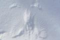 Tierspuren / Vogelspuren im Schnee.