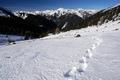 Obwohl sich die groen Schneemassen der letzten Woche schon gut gesetzt haben, ist die Spurarbeit heute nicht unbedingt eine leichte. Bruchharsch und schwerer, patziger Schnee lassen mich nur langsam vorwrtskommen.