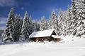 An der Htte vorbei kurz Richtung Wildgehege. Bis hierher fhrte heute auch eine Schneemobilspur. Bald aber zweige ich nach links ab ...