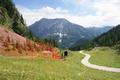 ... gehts wieder hinab ins Tal.