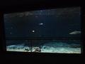 Dann kommen wir zu einem gro�en Aquarium mit bunten Fischen ...