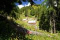 ... der G��ler Alm.