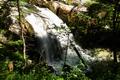 Auf dem parallel zum Zimitzbach und seinem Wasserfall verlaufenden Wanderweg im schattigen Wald lassen sich die hei�en Temperaturen gleich viel besser ertragen.