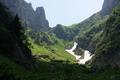 Die Sonne lt den Steilhang hinauf zum First in saftigem Grn erstrahlen. Letzte Schneereste bilden eine kontrastierende Abwechslung.