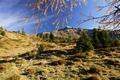 ... gestaltete sich in der herbstlichen Farbenpracht als sehr reizvoll, auch wenn die Wiesen nach dem Auftauen der morgendlichen Eisschicht jetzt gelegentlich etwas sumpfig waren.