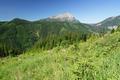 Ausblick zum weiter sdwestlich gelegenen Reitingstock mit dem Geck (Wandertour am 29.06.2010).