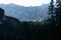 Gest�rkt folgen wir dem steinigen, breiten Almweg durch den Wald. Blick zur�ck auf unser Jausenplateau bei der Krumpalm.