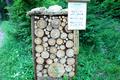 Viele L�cher im Holz ...