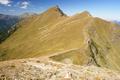 ... sondern steige gleich hinunter ins Weingrubertrl. (rechts unten). Vor dem Anstieg auf den Geierkogel ...