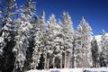 Merkbar besser mit sprunghafter Zunahme der Schneehhe ...