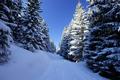 ... und der Weg auf einer Forststrae sdostwrts fhrt, kann ich mich an herrlichem, leichtem und lockerem Pulverschnee erfreuen.