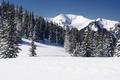 Schneebedeckte Gipfel ber winterlich verschneiten Wldern.