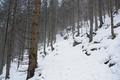 Bald schon verlasse ich auf der Westseite des densees den Rundweg und halte mich an einem im dichten Wald bergwrts ziehenden Hohlweg.