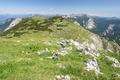 Am weiten Gipfelplateau ...