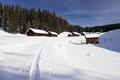 ber den Wurf wird der Schnee an sonnenexponierten Lagen bereits am Vormittag feucht und patzig. Pulvriger wird es wieder im Flachgelnde im Umfeld der Viehbergalm.