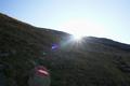 ... der Sonne entgegen ...