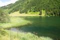 Ein Wanderer-Paar schwimmt (verbotenerweise) im Bodensee ...