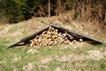Diesen Holzsto - kurz bevor der durch Unwetterregen tief ausgehhlte Ziehweg in den Wald hinein fhrt - habe ich auch schon wesentlich 