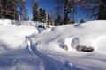 ... bei einer kurzen Abfahrt schlitzt mir ein nahe unter der Schneedecke liegender Felsen das Fell auf, welches ich wegen der zahlreichen Gegensteigungen vorerst noch auf den Tourenschi gelassen habe.