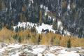 ... hinab zu einer Htte im Sieglgraben. ber die Forststrae bzw. durch den Wald abkrzend erreiche ich wieder die Weggabelung und auf der bekannten Strae gehts zurck nach St. Johann am Tauern.