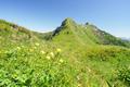 Ab dem Hochegg wird der Wanderweg jetzt wieder sehr einfach. Blick zurck.