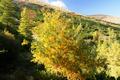 Herbstfarben