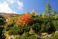 Herbstfarben