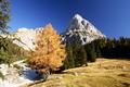 Wir starten unsere heutige Wandertour in der Admonter Kaiserau bei der Oberst-Klinke-Htte, wo wir gleich von Beginn prachtvolle Herbst- und Fels-Impressionen genieen knnen.