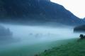 Mystische Nebelschwaden über dem Tettermoor ...