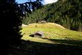 Bald war das Steiglein gefunden, welches uns in der Folge zur Jagdhtte bei der Herzmaieralm hinabfhrte.