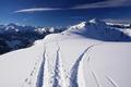 Schi-Anstiegsspur, Schneeschuhspur, Schi-Abfahrtsspur am Oberen Tanzboden.