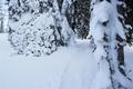 Weiter oben treffe ich auf einen Schneeschuhpfad.