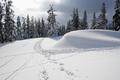 Immer wieder Spuren von Skidoos oder Schneeschuhwanderern