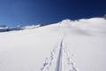 Spuren im Schnee