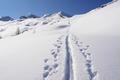 Spuren im Schnee
