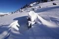 Schnee-Impressionen