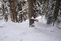 Abstieg zurck ins Tal - wieder meist entlang der Wintermarkierungen.